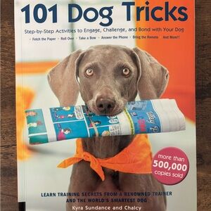 Sundance 101 Dog Tricks Book - Blue and Orange Cover